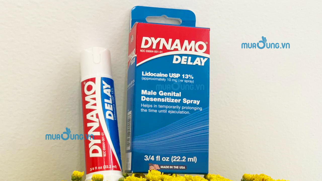 DYNAMO DELAY