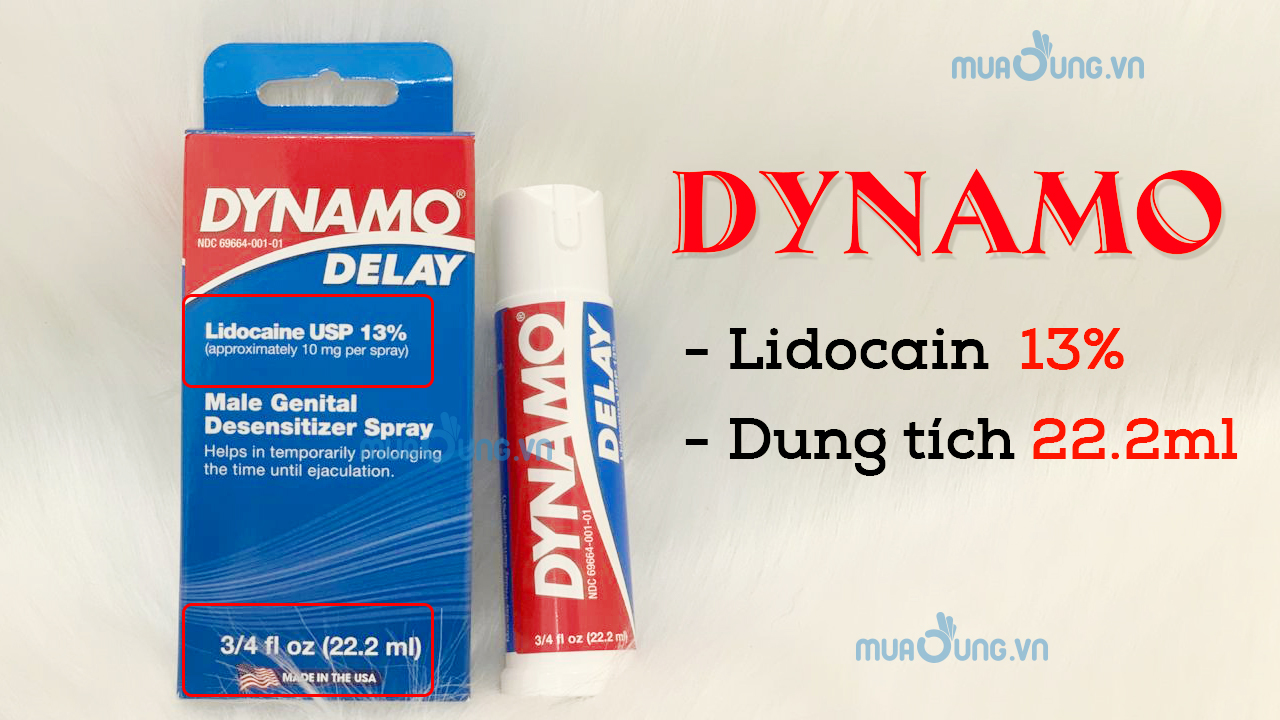 dynamo delay