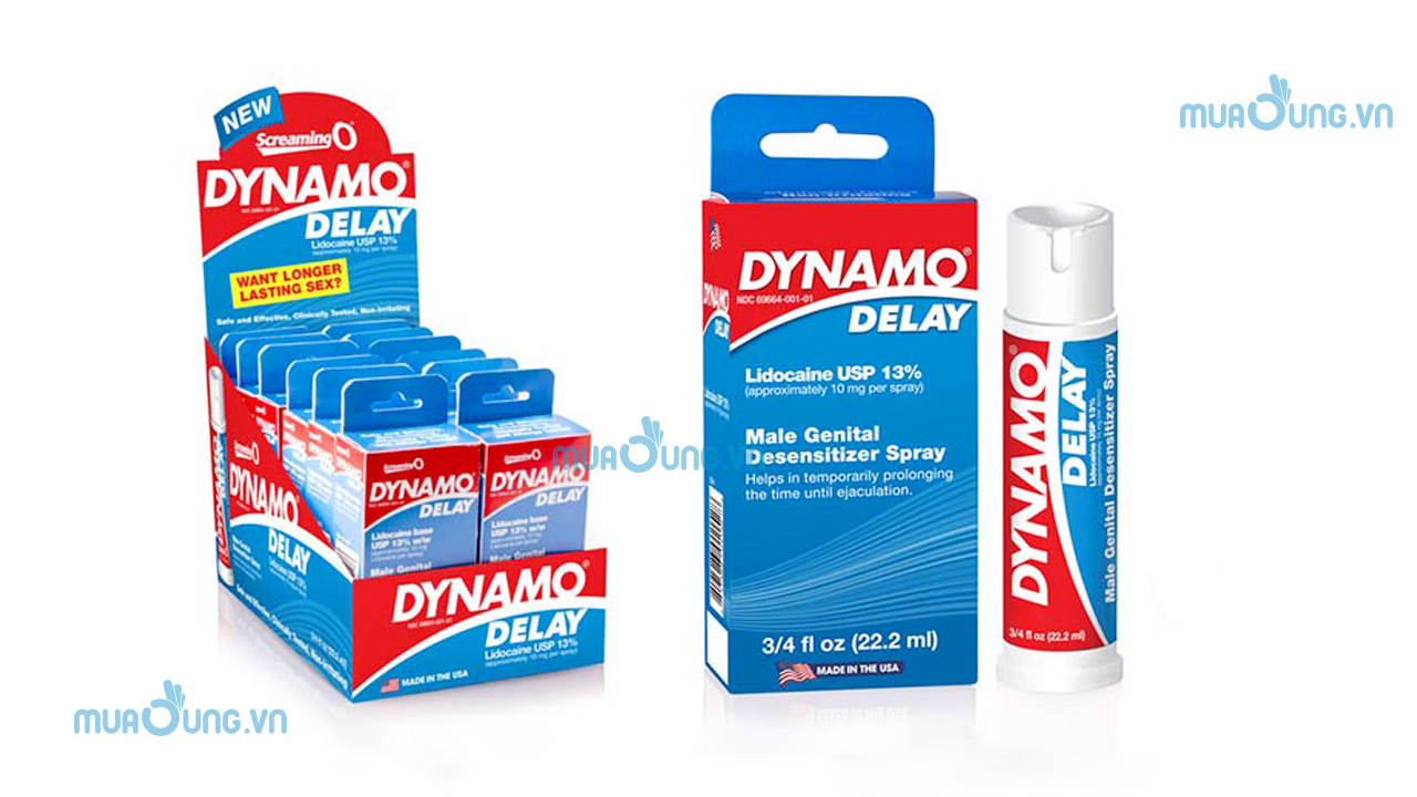  Dynamo Delay