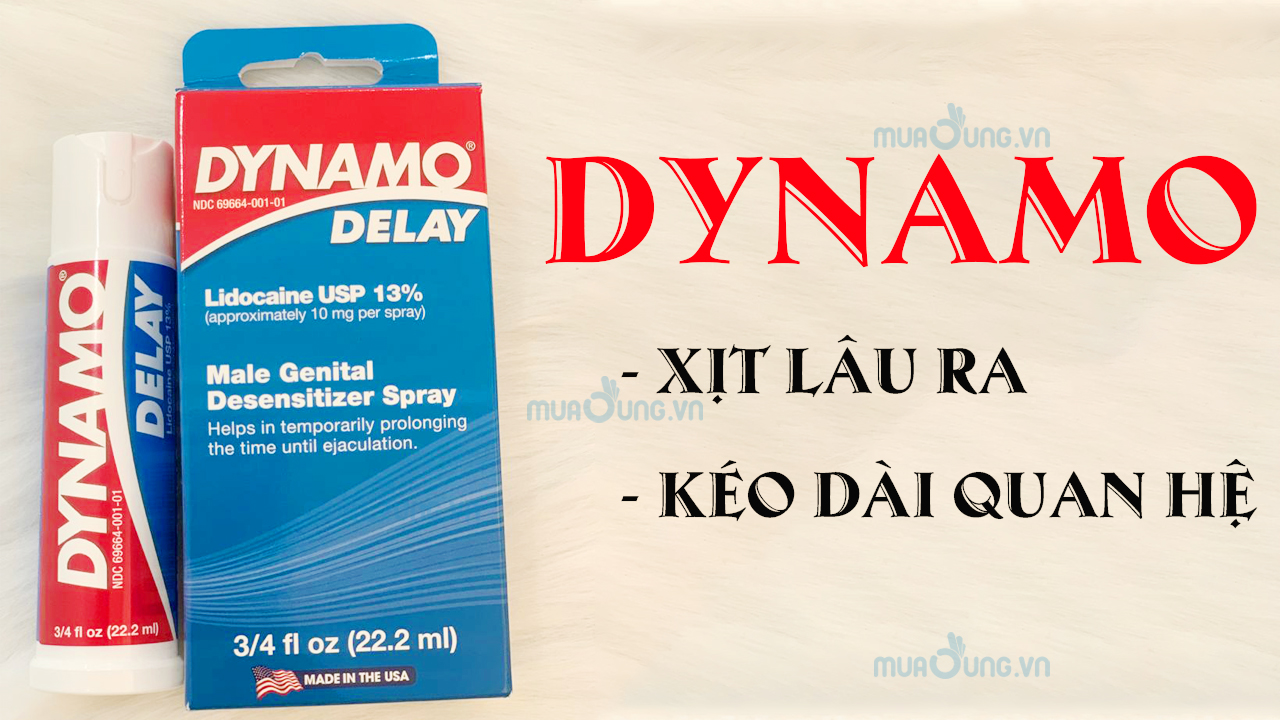 dynamo delay usa