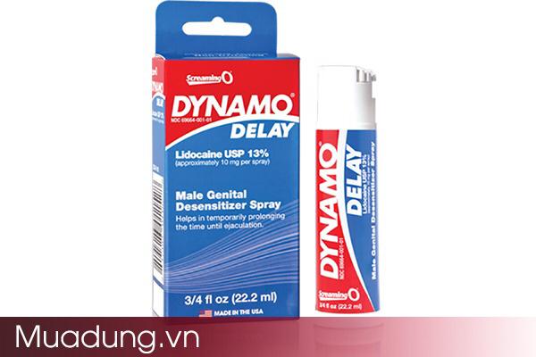 Dynamo delay