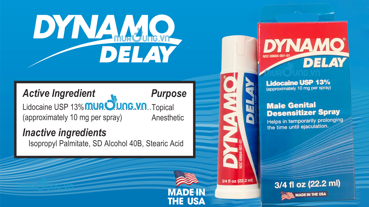 Thành phần Dynamo Delay