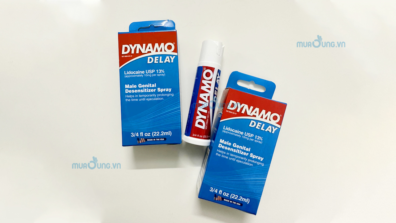 dynamo
