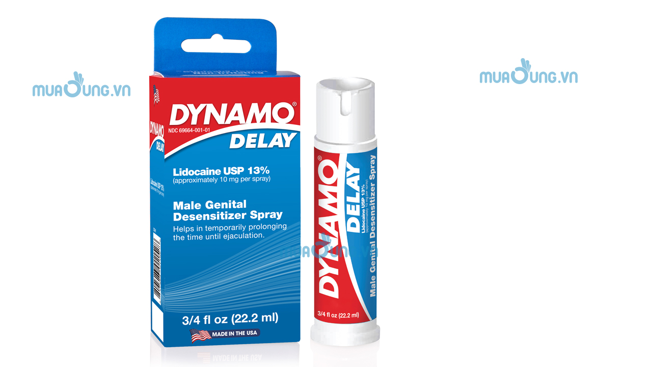 DYNAMO DELAY USA