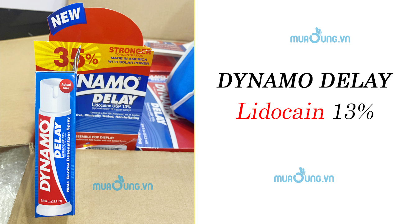 DYNAMO DELAY
