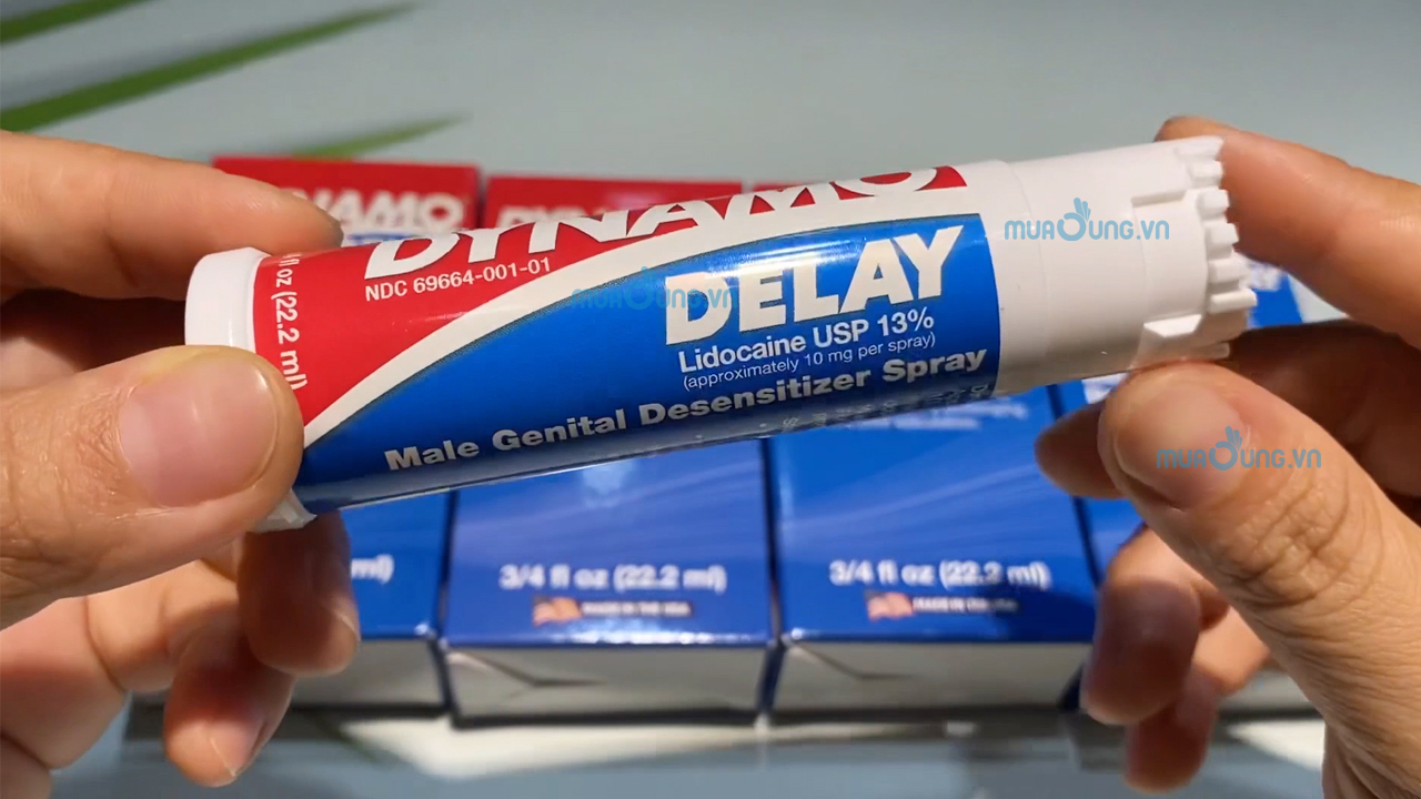 dynamo delay mỹ