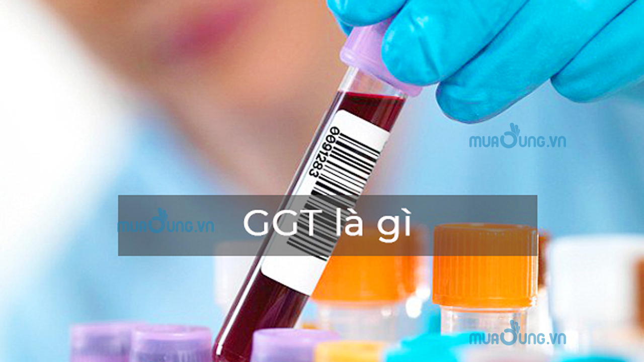 chỉ số mem gan ggt