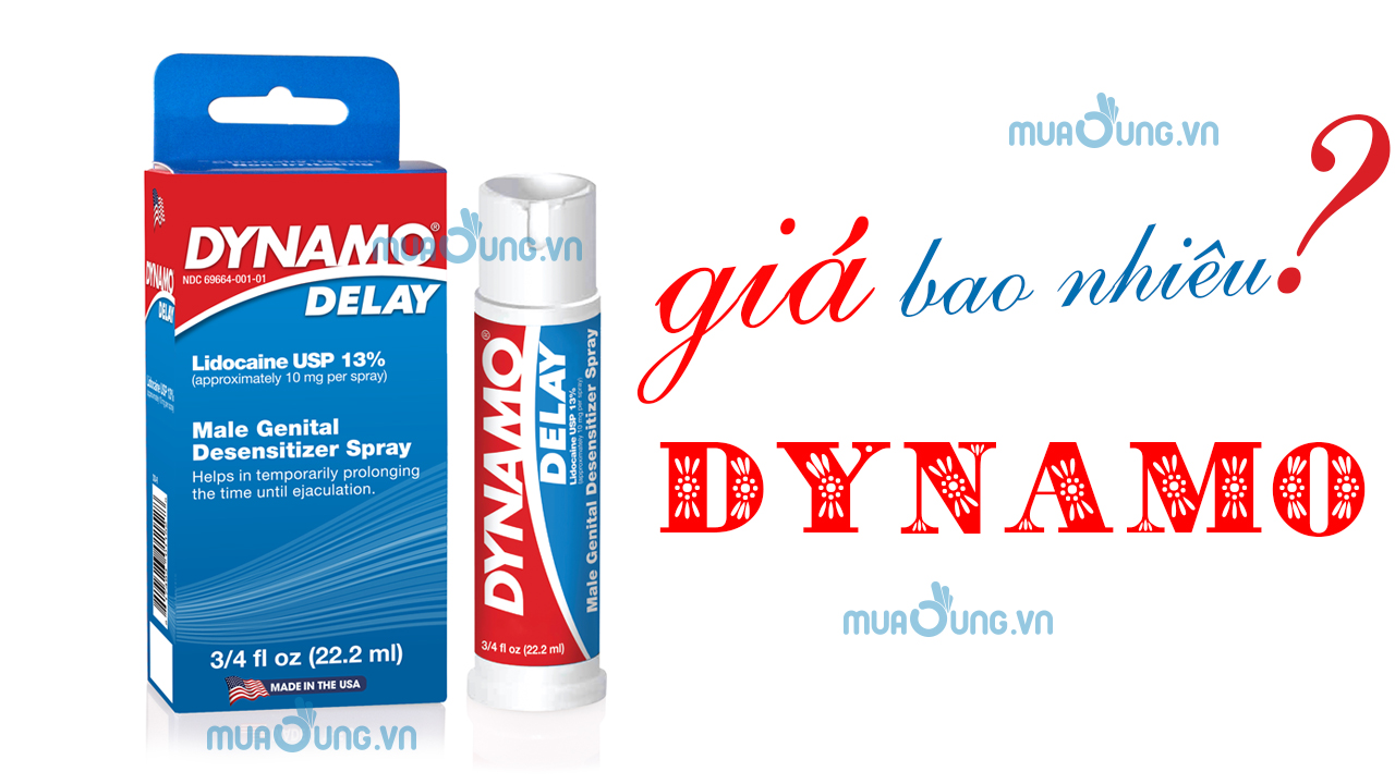 DYNAMO DELAY