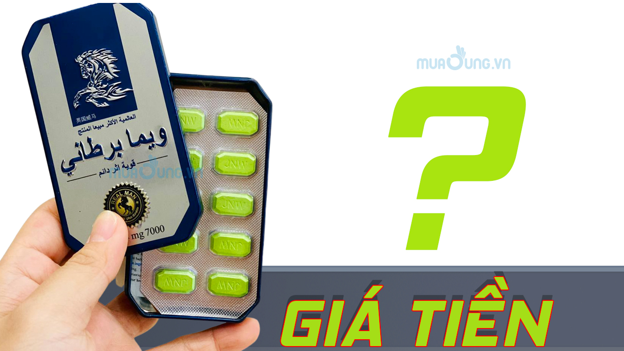 ngựa thái giá bao nhiêu