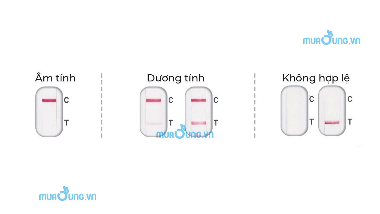Giải thích kết quả