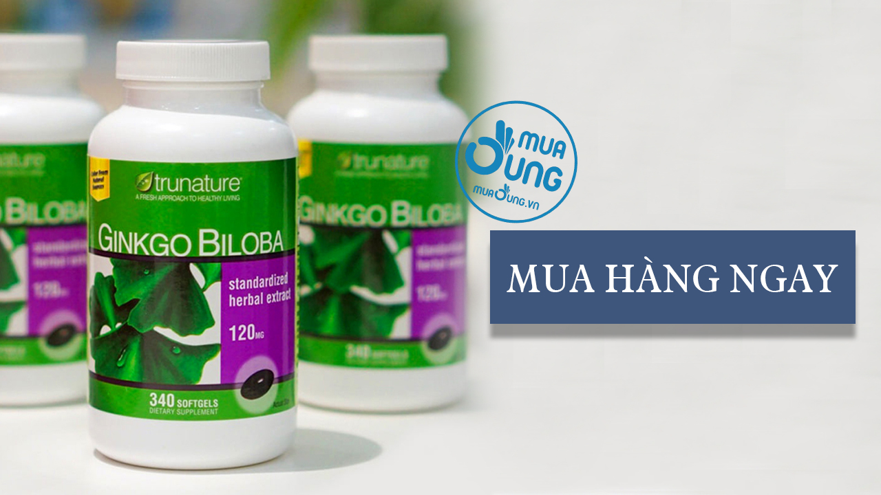 Thuốc bổ não Ginkgo Biloba