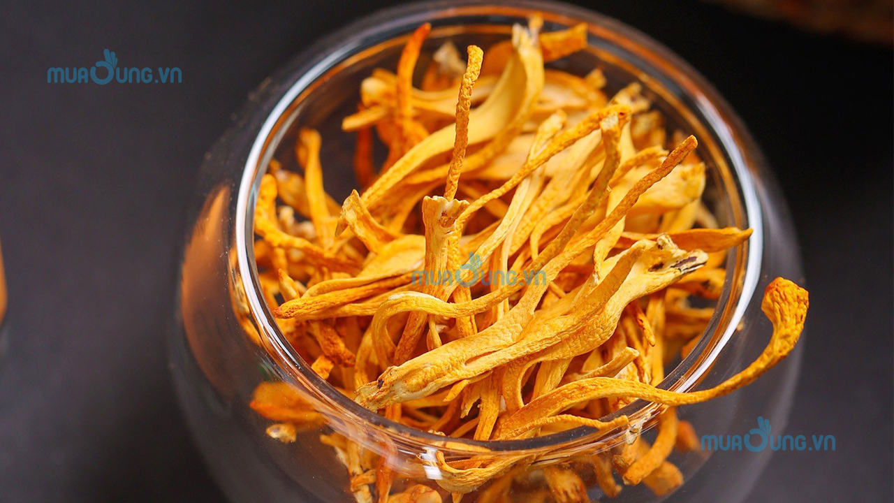 hạ thảo