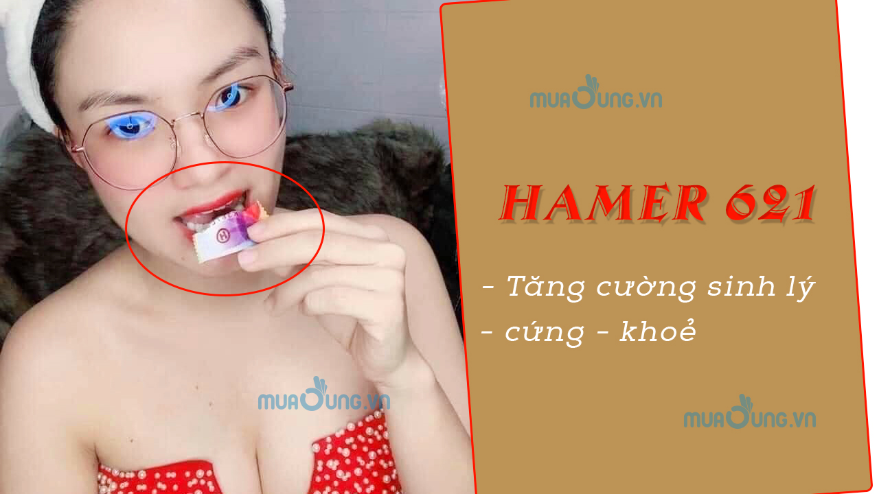 hamer 621
