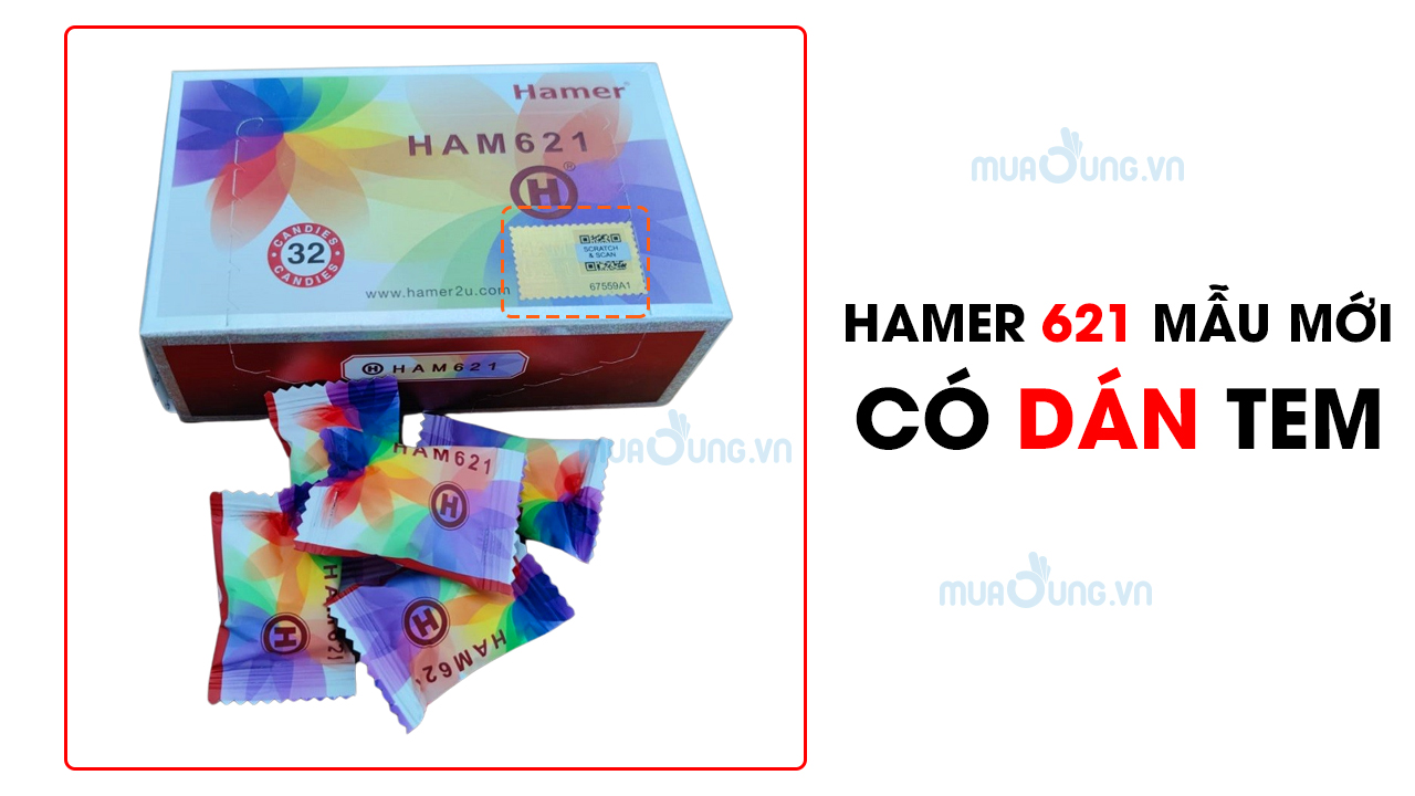 HAMER MẪU MỚI