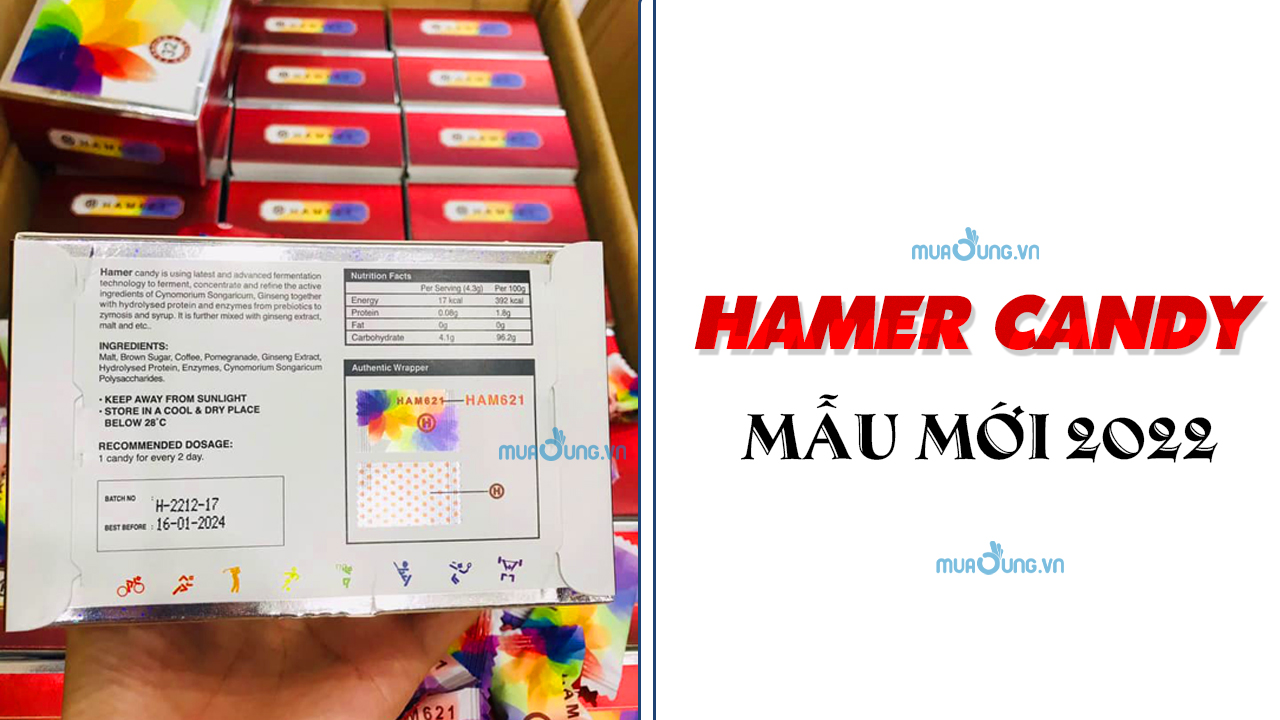 HAMER 621