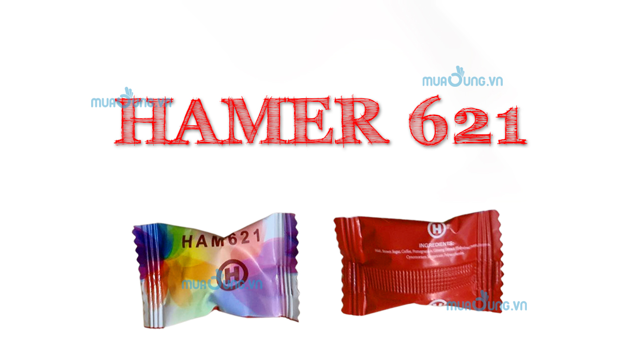 HAMER 621
