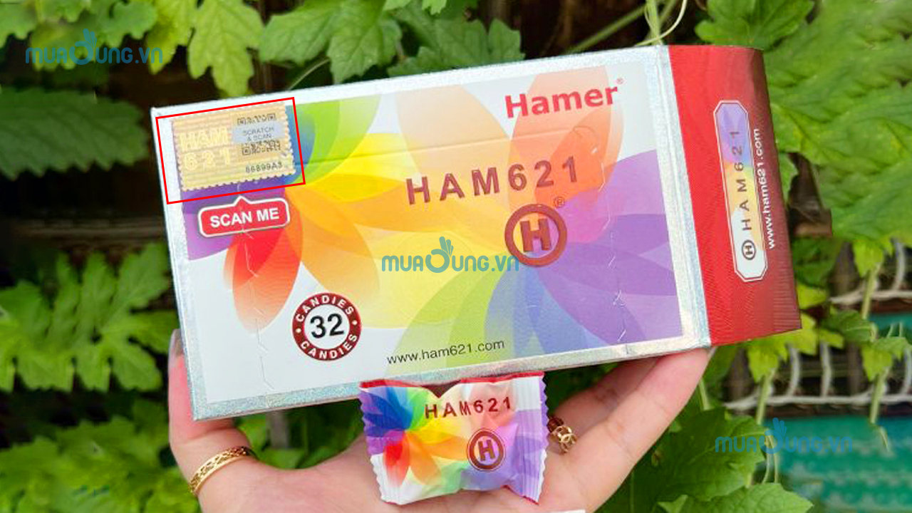 hamer 621 mới