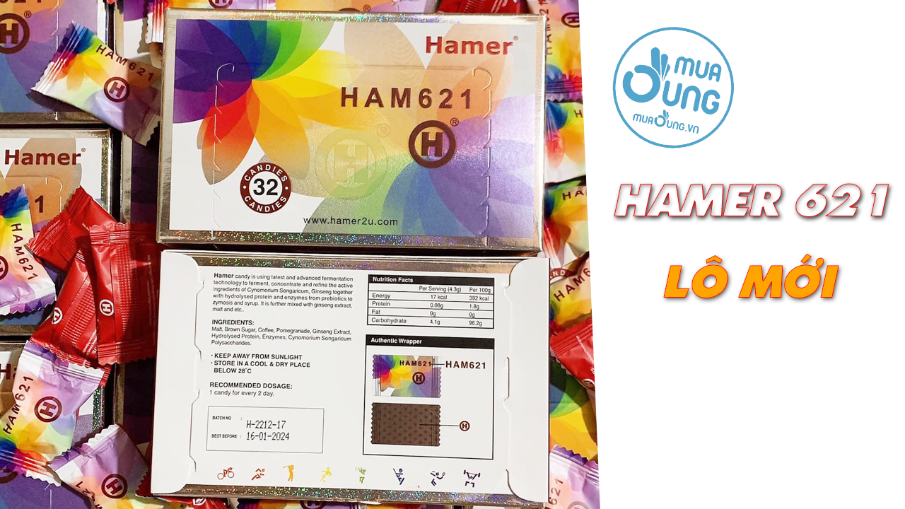 HAMER 621