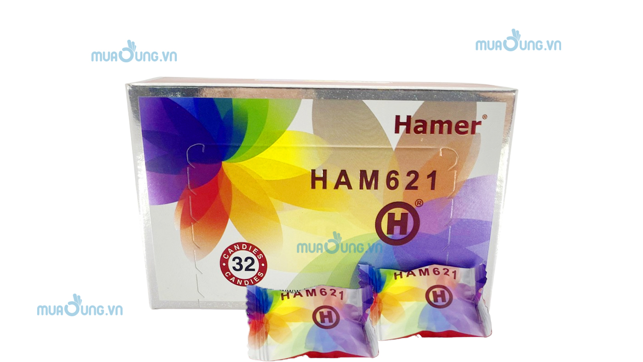 hanmer 621