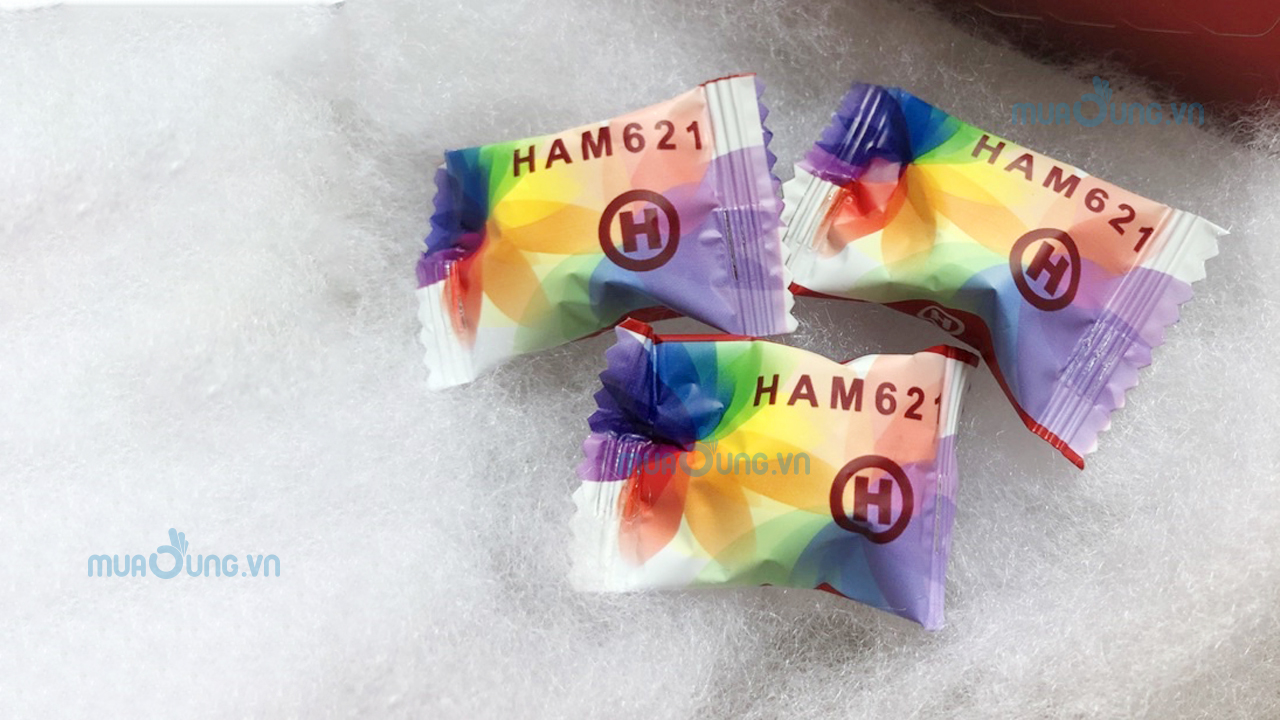 HAMER USA