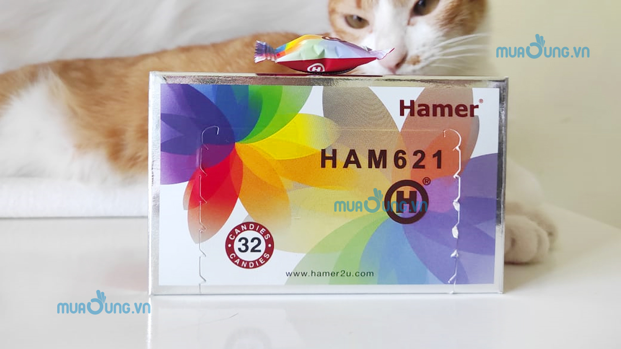 KẸO SÂM HAMER LÔ MỚI 621