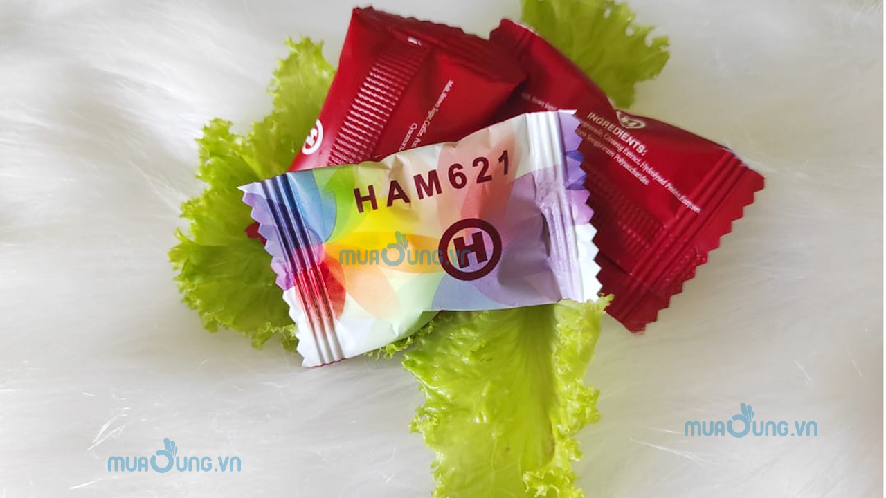 KẸO HAMER LÔ 621