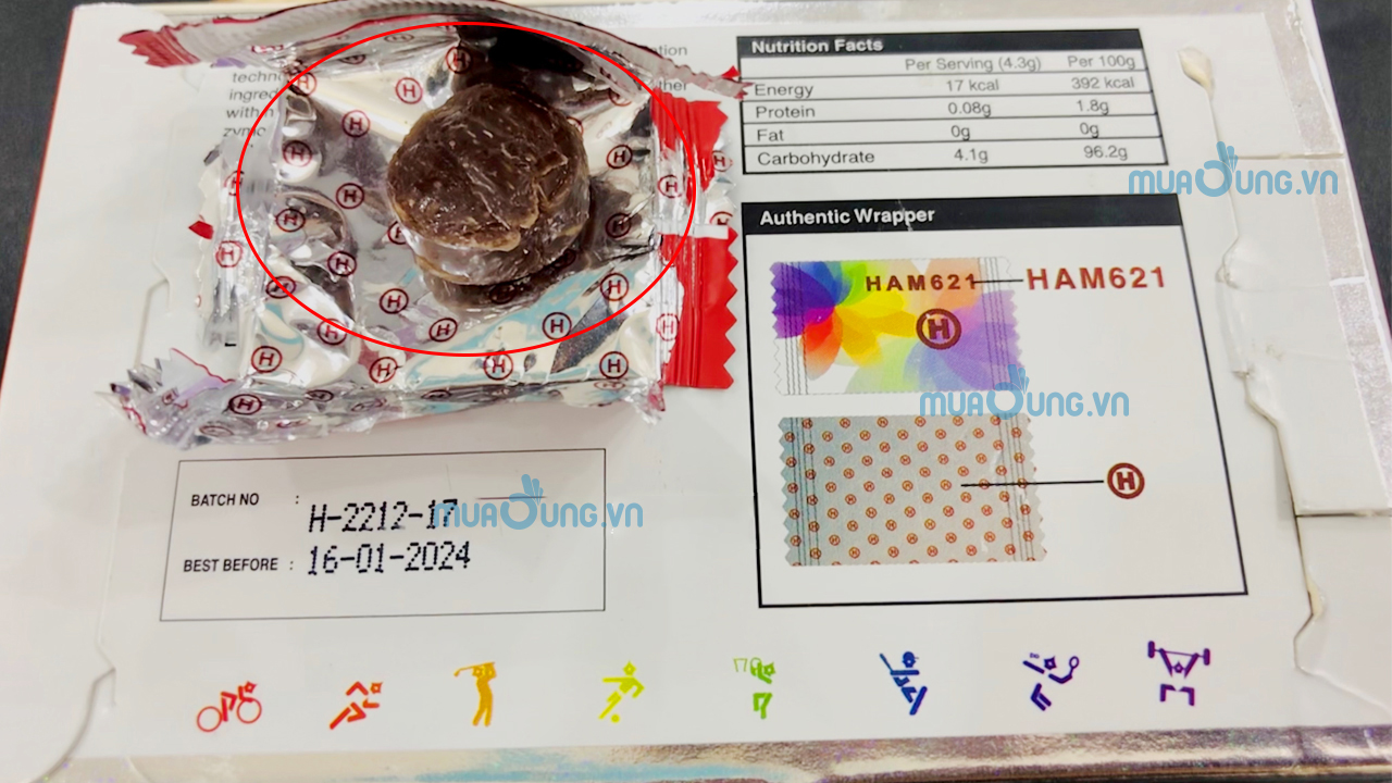 HAMER LÔ MỚI