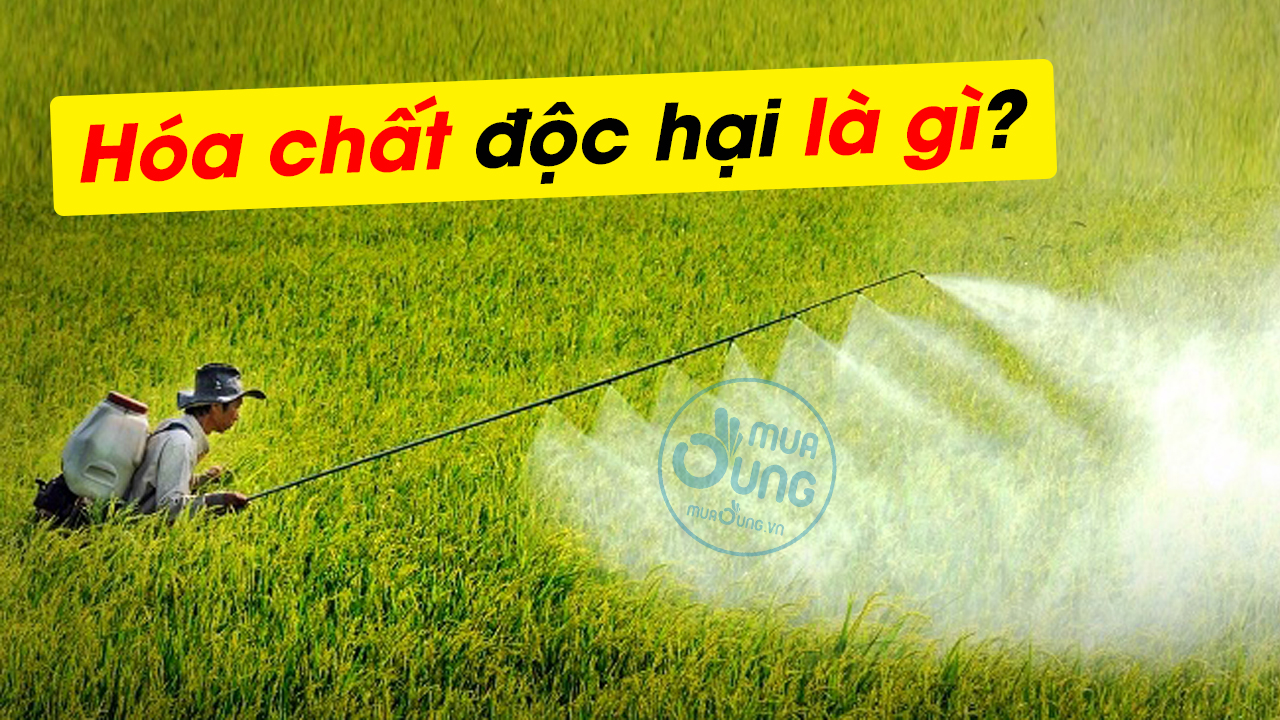 HOÁ CHẤT ĐỘC HÀI LÀ GÌ