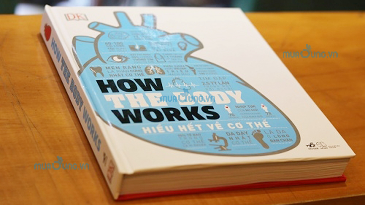How The Body Works - Hiểu Hết Về Cơ Thể