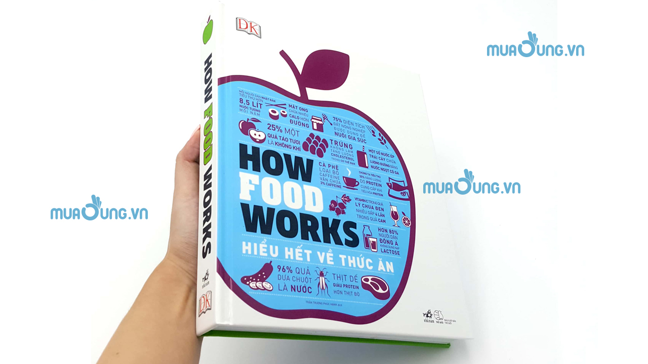 How The Body Works – Hiểu Hết Về thức ăn