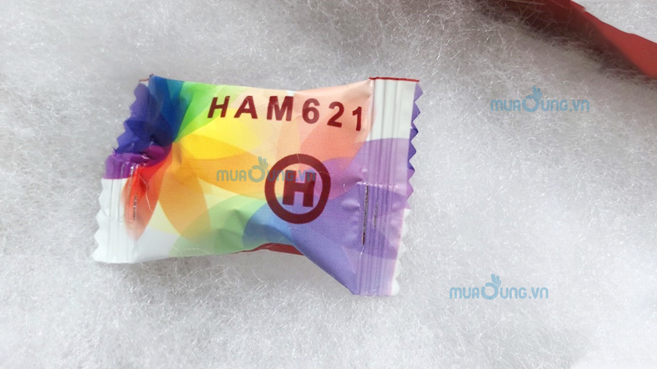 HAMER