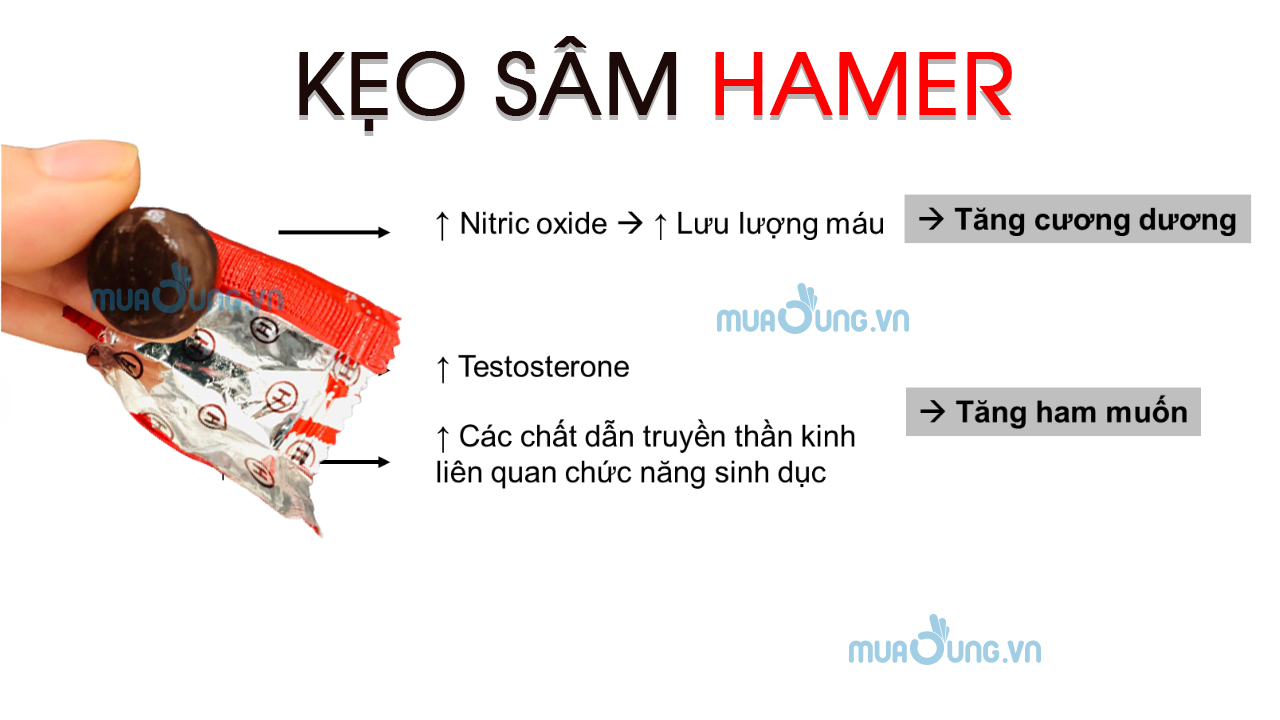 KẸO SÂM HAMER MỸ