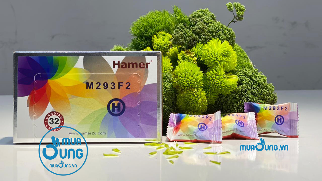 KẸO SÂM HAMER MỸ