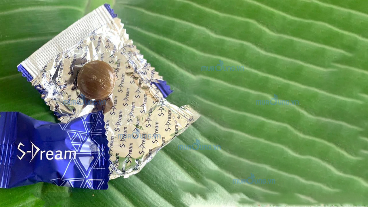 SDREAM MỸ