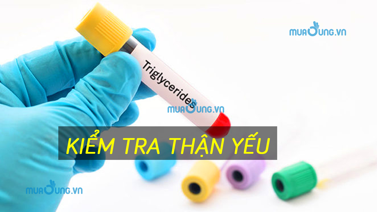 kiêm tra thận