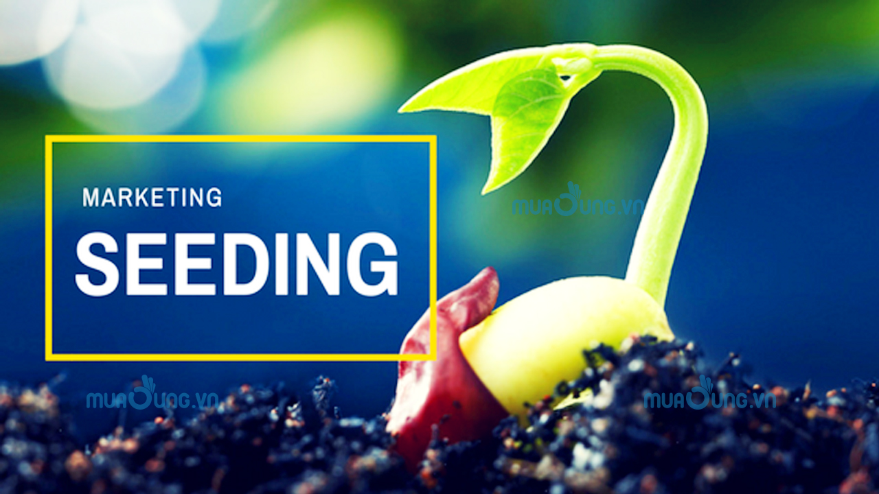 Làm thế nào để Seeding Facebook hiệu quả?