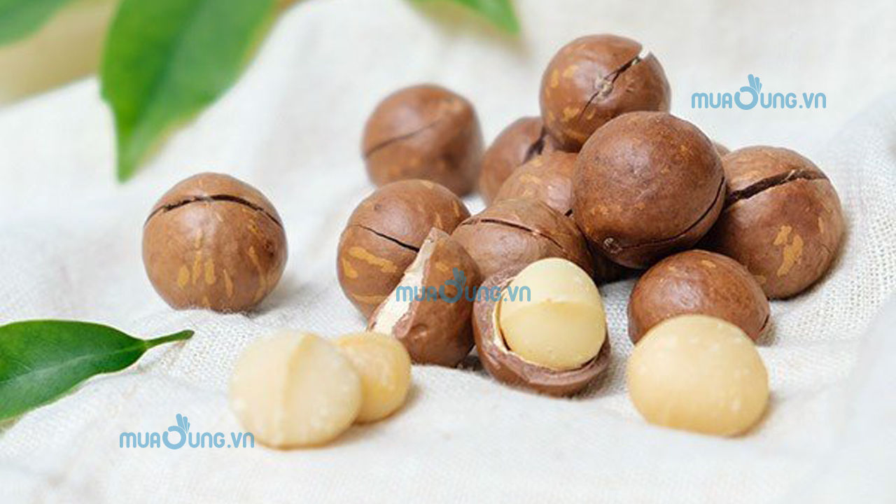 hạt mắc ca