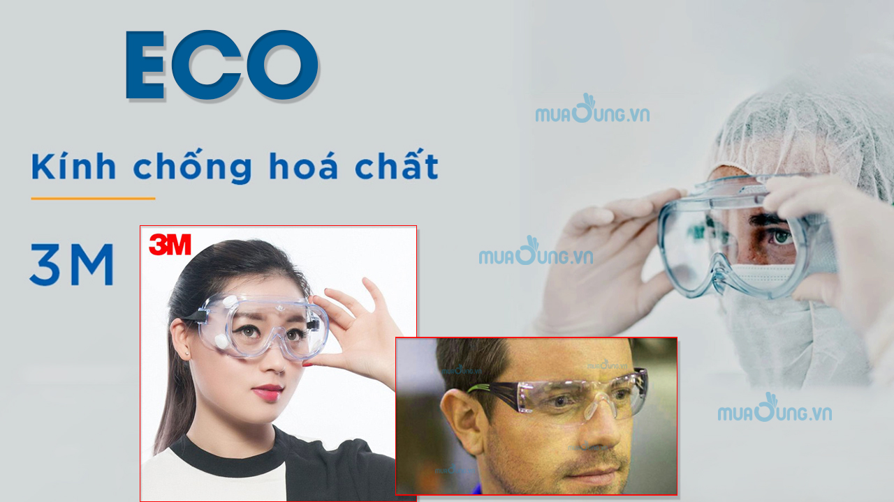 https://baoholaodongeco.com/?product_cat=kinh-bao-ho&s=&post_type=product
