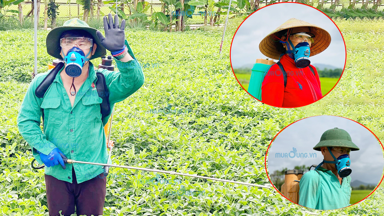 MẶT NẠ PHÒNG ĐỘC THUỐC TRỪ SÂU PHỔ BIẾN NHẤT HIỆN NAY