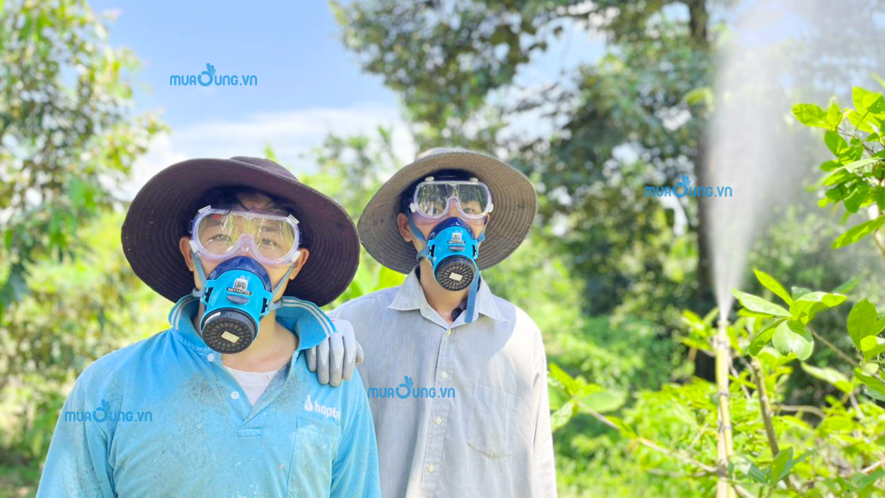 mặt nạ phòng độc