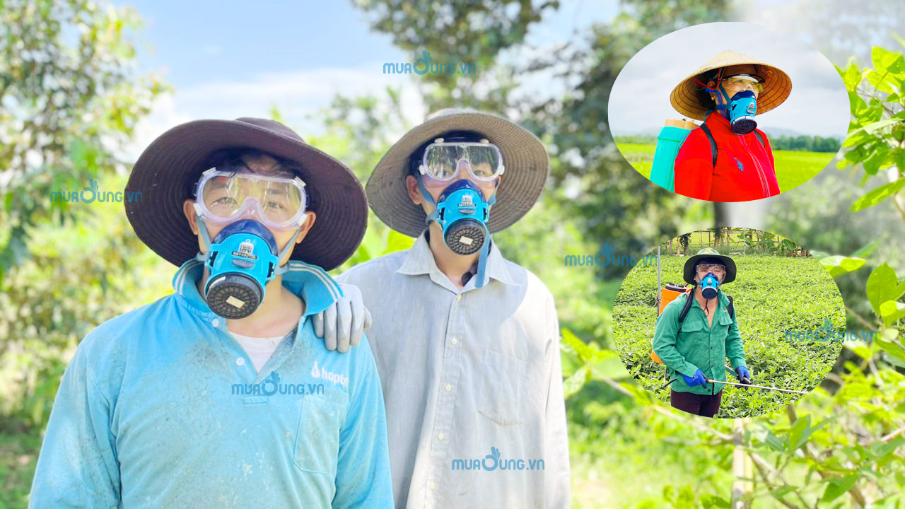 Mặt nạ phòng độc phun thuốc trừ sâu
