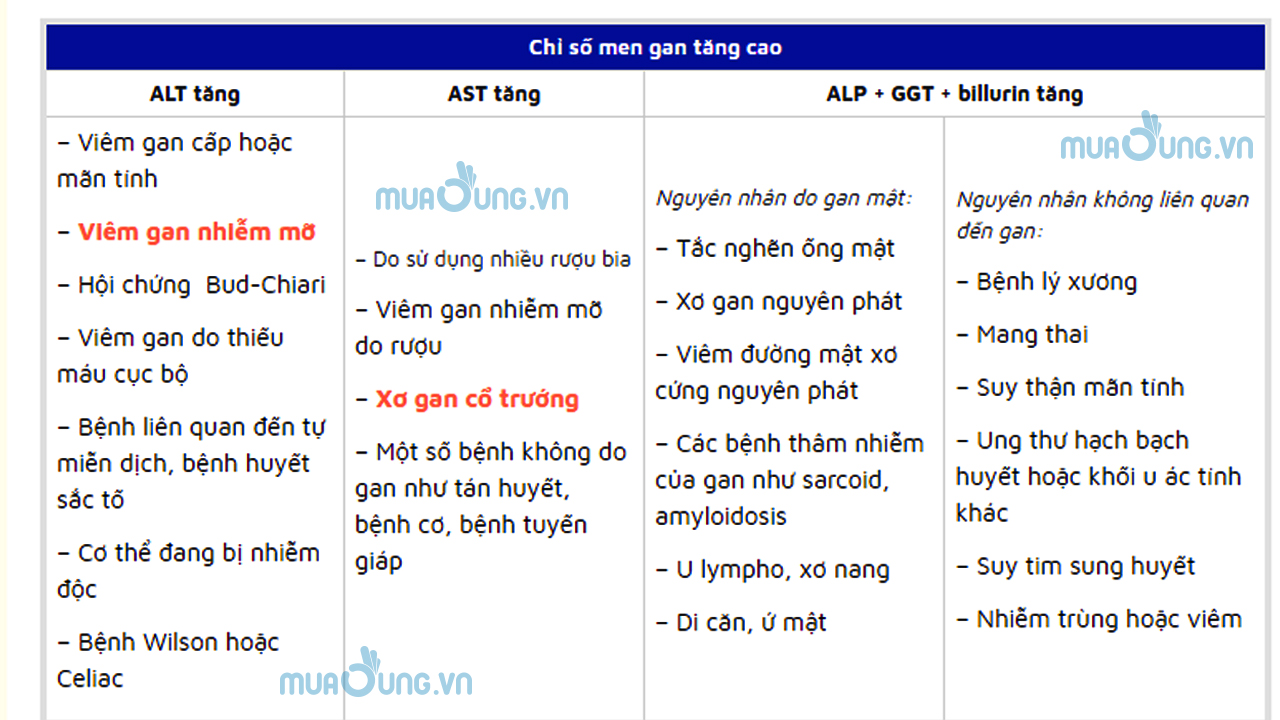 men gan cao