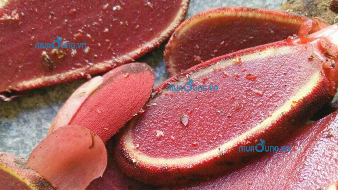 nấm ngọc cẩu