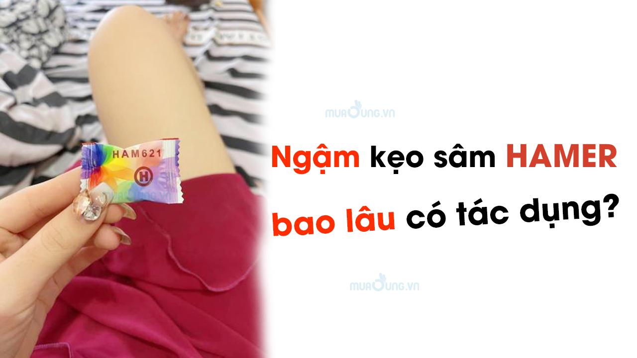 Ngậm kẹo sâm Hamer bao lâu có tác dụng