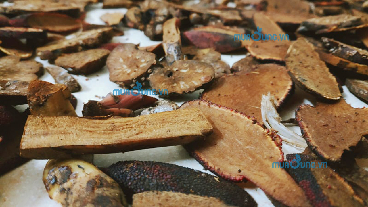 nấm ngọc cẩu