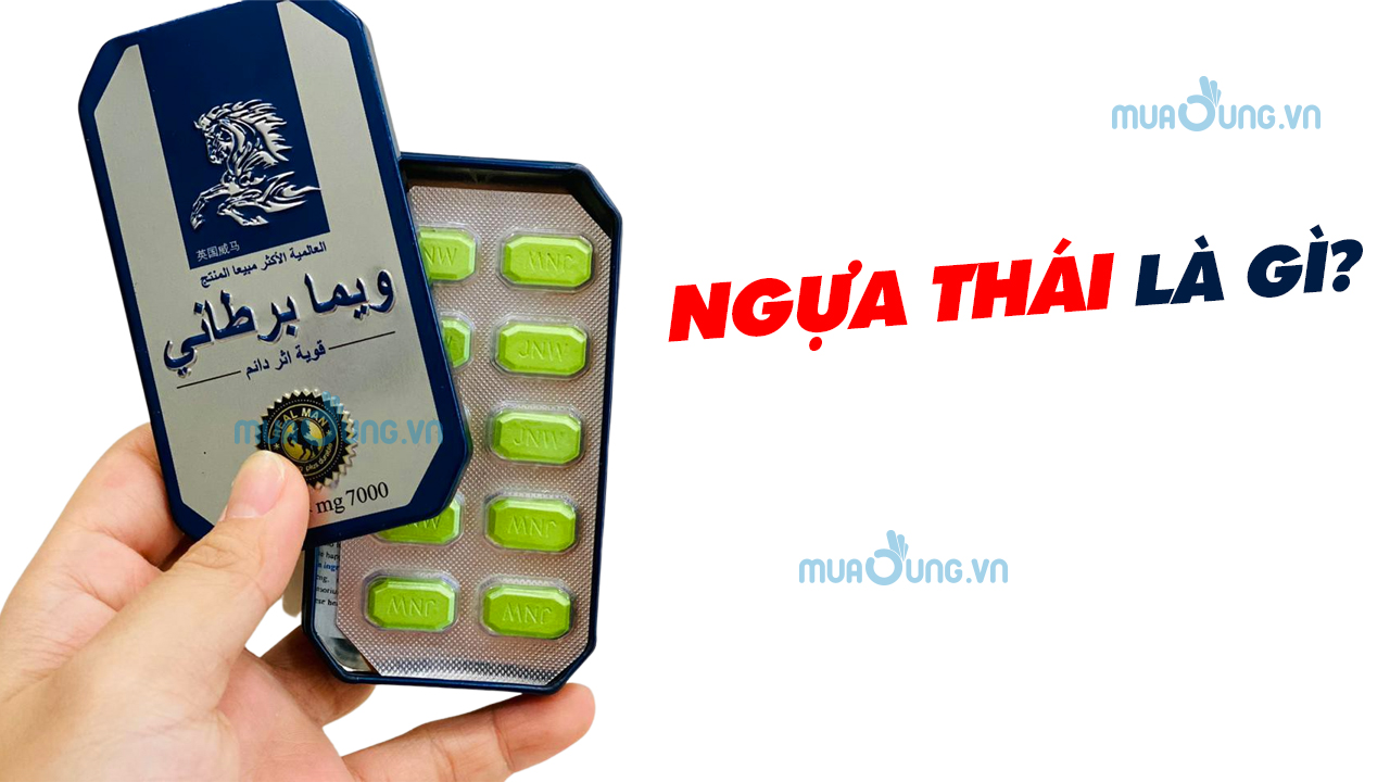 ngựa thái chính hãng