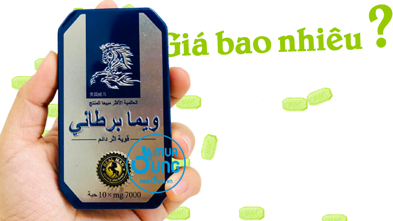 ngựa thái giá bao nhiêu