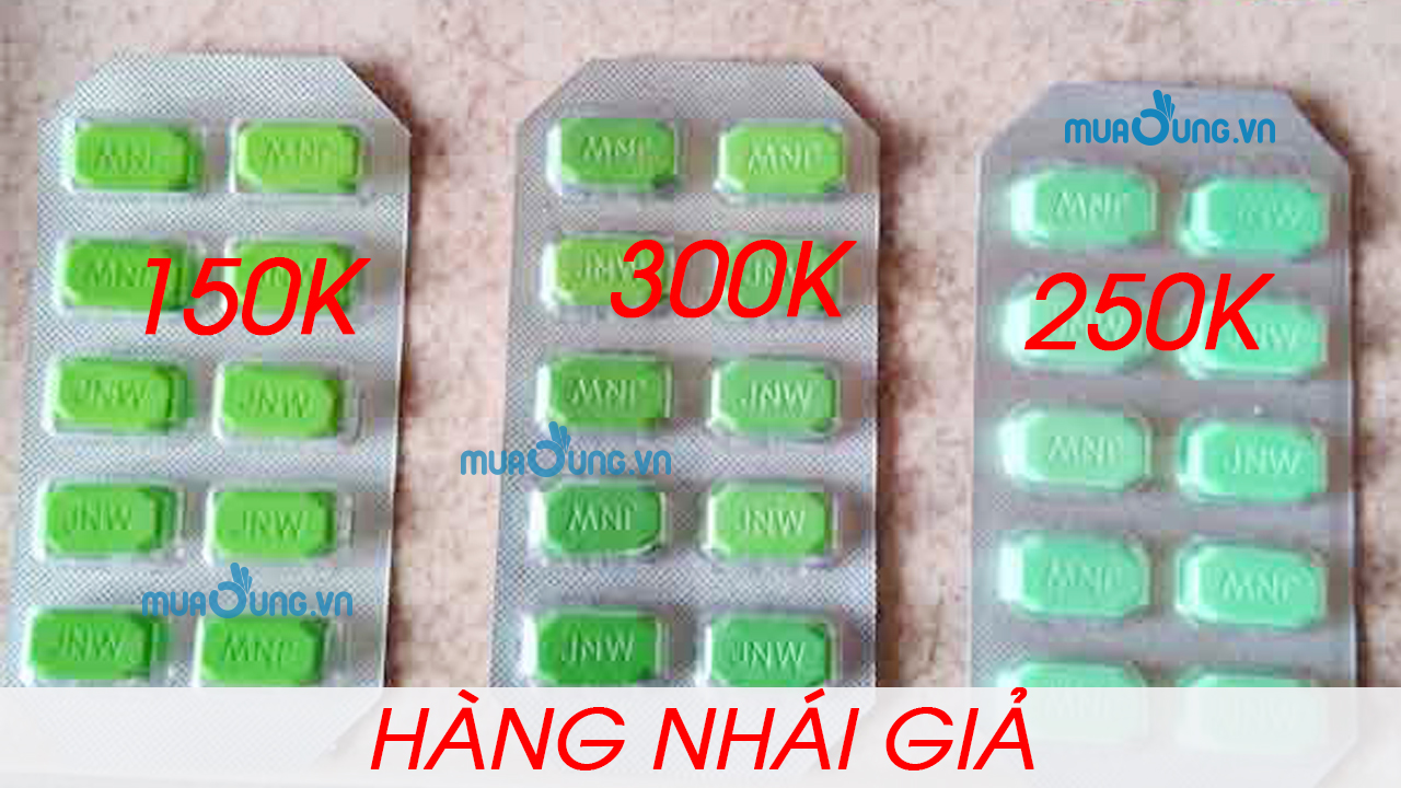 NGỰA THÁI NHÁI GIẢ