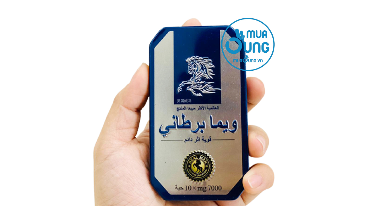 cường dương ngựa thái