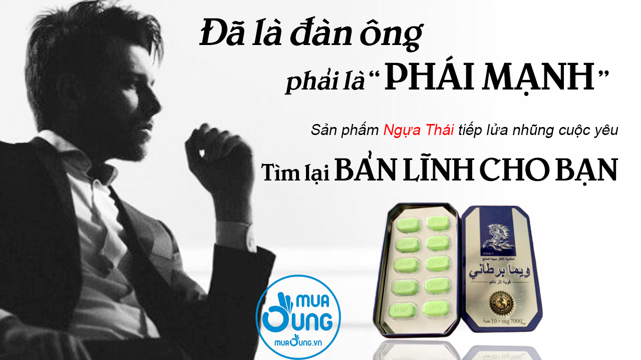 NGỰA THÁI